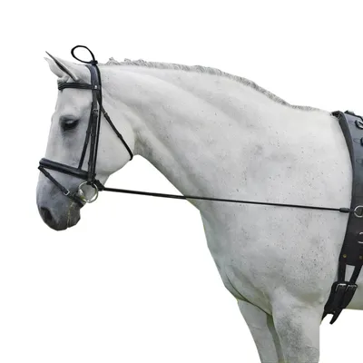 Produktbild von Waldhausen Halsverlängerer Elastic, Größe:Pony, Farbe:schwarz
