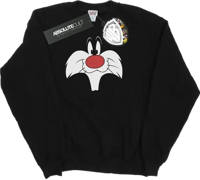 Produktbild von Looney Tunes - Sweatshirt für Herren BI32252 (M) (Schwarz)