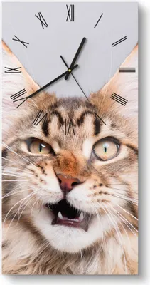 Produktbild von DEQORI Glasuhr 30x60 cm Römisch 'Maine Coon Katze faucht' Wanduhr Glas Uhr Design leise
