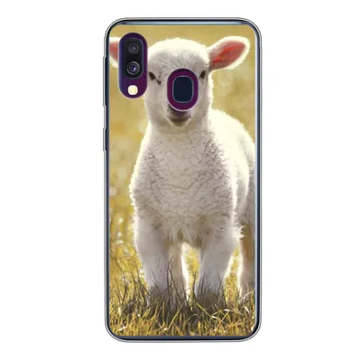 Produktbild von MuchoWow® Handyhülle Schutzhülle Hülle für Samsung Galaxy A40 Lamm - Gras - Sonne Silikon Softcase Handy Hülle - Handy-Tasche