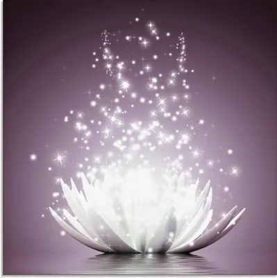 Produktbild von Vadim Georgiev: Magie der Lotus-Blume violett - Glasbild, Größe:50x50 cm / Glasbild