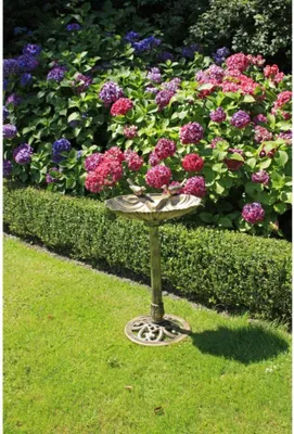 Produktbild von Garden Pleasure 315078 Vogeltränke 'muschelförmig' für Außen- und Innenbereich