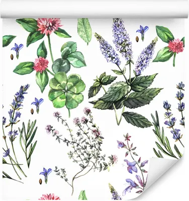 Produktbild von 10m VLIES TAPETE Rolle Natur Blumen Lavendel Blätter Pflanzen Gemalt XXL