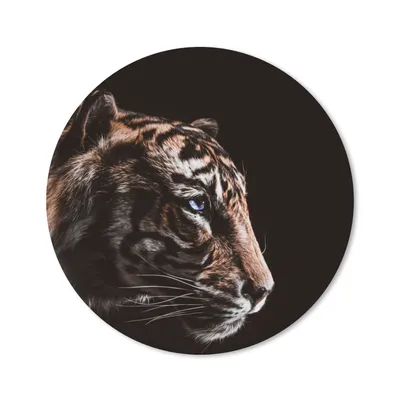 Produktbild von MuchoWow® Mauspad Mousepad Tiger - Tiere - Schwarz 20x20 cm - Mousepads - Maus Mat - Pad - Mausunterlage - Schreibtischmatte