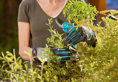 Produktbild von Gardena 11530-20, Gartenhandschuhe, Schwarz, Blau, Grau, M, Baumwolle, Elasthan, Nylon, Polyester, Polyurethan, 40% Polyester, 35% Nylon, 18% Polyurethan, 5% Baumwolle, 2% Elasthan