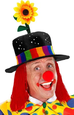 Produktbild von Samt ""SCHWARZER CLOWNHUT MIT HAAREN UND