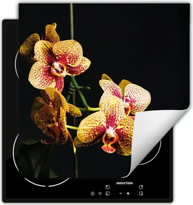 Image de DarHaus Plaque de recouvrement pour cuisinière 50x52 cm Tapis antidérapant Enroulable, noir - Orchidée