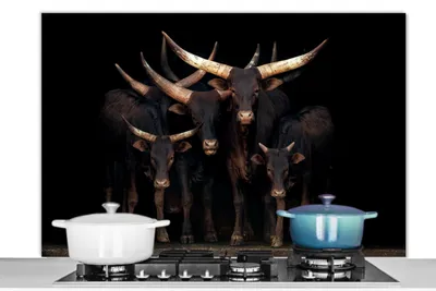 Obrázok produktu pre MuchoWow® Splashback Kuchyňa - Kuchynský backsplash - Ochrana steny pre sporák a drez Kravy - Watussi - čierne 120x80cm Alu-Dibond (alternatíva k