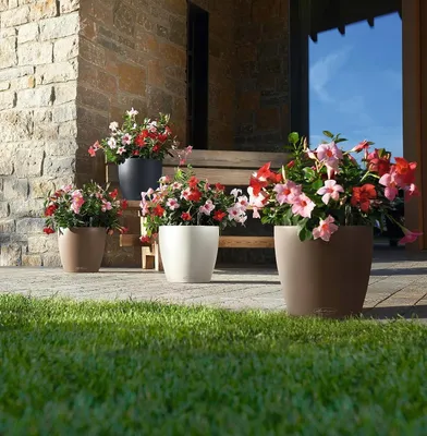 Produktbild von LECHUZA Classico Color 43 Runder Blumentopf Beige Modern