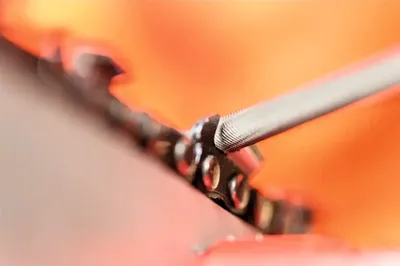 Zdjęcie produktu dla PFERD 18600740, Okrągły dokument, 3,2 mm, 200 mm