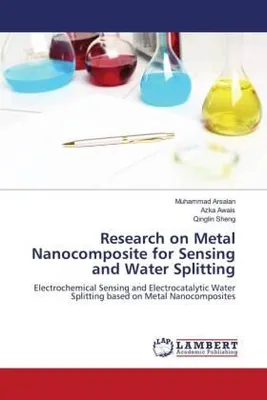 Produktbild von Research on Metal Nanocomposite for Sensing and Water Splitting