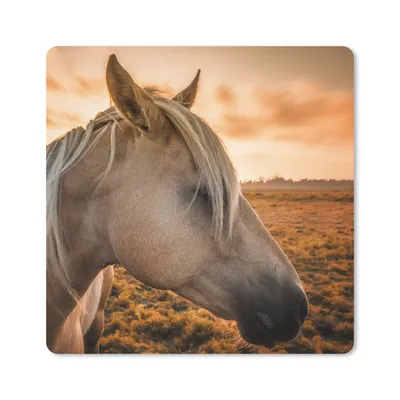 Produktbild von MuchoWow® Mauspad Mousepad Pferd - Tiere - Porträt 20x20 cm - Mousepads - Maus Mat - Pad - Mausunterlage - Desk Mat - Bureauartikeln