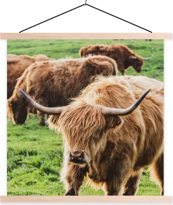 Produktbild von MuchoWow® Textilposter Schottisches Hochlandrind - Kühe - Tiere 60x60 cm mit holzfarbenen Rahmen - Wanddekoration