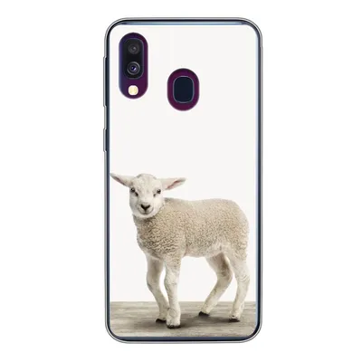 Produktbild von MuchoWow® Handyhülle Schutzhülle Hülle für Samsung Galaxy A40 Lamm - Schaf - Tiere - Kinder - Mädchen - Jungen Silikon Softcase Handy Hülle - Handy-Tasche