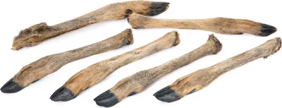 Produktbild von Kaureks Natur Hundeleckerlies Rehunterbein mit Fell 6 STK. Kausnack, Hundefutter, Kauartikel