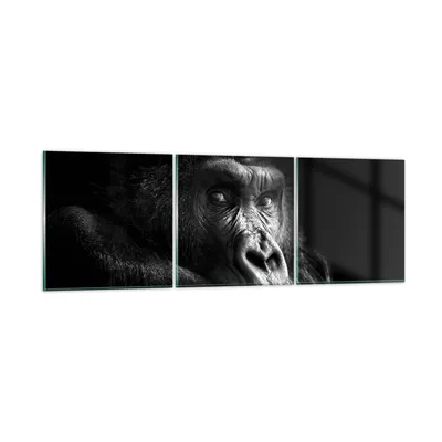 Produktbild von Bilder auf glas - 3 Teile - Affe Gorilla Porträt - 120x40cm - Glasbilder - Wandbilder - Bilder - zum Aufhängen bereit - Wanddekoration aus Glas - Glas Bilder - Wandbild auf Glas - GCA120x40-5007