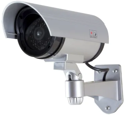 Image de LogiLink caméra factice, argent