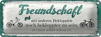 Produktbild von Blechschild Spruch Freundschaft noch bekloppter sein 27x10cm