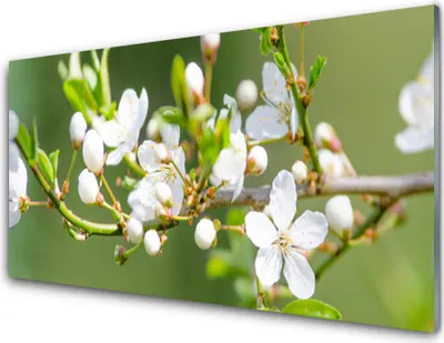 Produktbild von Acrylglasbilder 100x50 Wandbild Druck Zweige Blumen Pflanzen