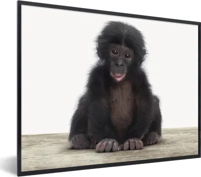 Produktbild von MuchoWow® Gerahmtes Poster Kind - Affe - Schimpanse - Babytiere - Jungen - Mädchen 40x30 cm - Poster mit Schwarzem Bilderrahmen Wandposter Rahmen Foto Bilder - Kunstposter - Wanddekorationen