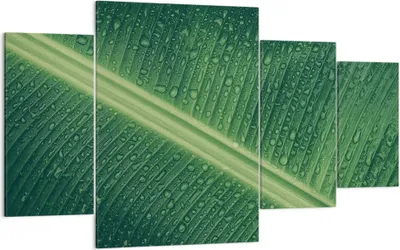 Produktbild von Bild auf Leinwand - Leinwandbild - 4 Teile - Makro Blatt Tropfen - 160x90cm - Wand Bild - Wanddeko - Wandbilder - Leinwanddruck - Bilder - Wanddekoration - Leinwand bilder - Wandbild - DL160x90-4372