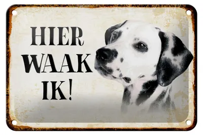 Produktbild von Blechschild Spruch 18x12cm holländisch Hier Waak ik Dalmatiner Dekoration