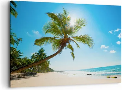 Produktbild von Bild auf Leinwand - Leinwandbild - Strand Palme Meer - 100x70cm - Wand Bild - Wanddeko - Wandbilder - Leinwanddruck - Bilder - Kunstdruck - Wanddekoration - Leinwand bilder - Wandkunst - AA100x70-3570