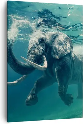 Produktbild von Bild auf Leinwand - Leinwandbild - Einteilig - Elefant Tier Wasser - 70x100cm - Wand Bild - Wanddeko - Wandbilder - Leinwanddruck - Wanddekoration - Leinwand bilder - Wandbild - PA70x100-3944