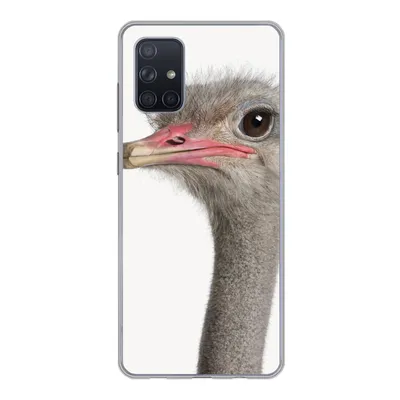 Produktbild von MuchoWow® Handyhülle Schutzhülle Hülle für Samsung Galaxy A51 Strauß - Tiere - Kinder - Jungen - Mädchen - Vogel Silikon Softcase Handy Hülle - Schutzabdeckung