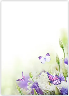Produktbild von Motiv Briefpapier (Blumen+Schmetterlinge-5022, DIN A4, 25 Blatt). Einseitig bedrucktes Briefpapier,  beschreibbar, Motivpapier für alle Drucker/Kopierer geeignet  Motiv blau / weiße Blumen mit Schmetterlingen