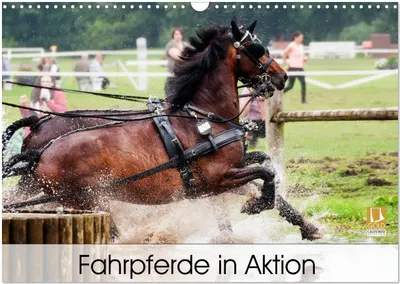 Produktbild von Fahrpferde in Aktion (Wandkalender 2026 DIN A3 quer), CALVENDO Monatskalender