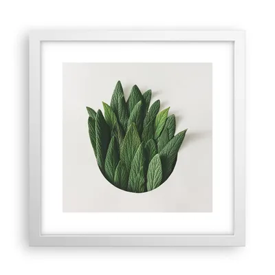 Produktbild von Gerahmtes Poster - Weißer Rahmen - Salbei Medizin Blätter - 30x30 cm - Wand Bild - Wanddeko - Wandbilder - Kunstposter - Wandposter - Bilderrahmen - Bilder - Kunstdruck - P2WAC30x30-4859