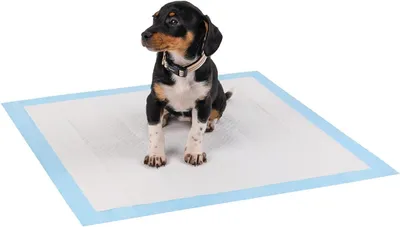 Produktbild von Welpen-Trainingspads 100 Stücke, 60x60 cm, 6-lagig, mit Klebestreifen, für Hund