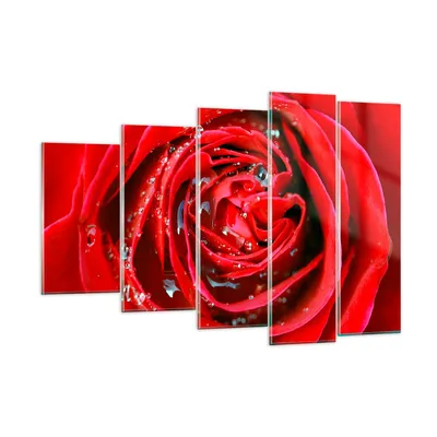 Produktbild von Bilder auf glas - Rose Blume Blütenblätter Tau - 150x100cm - Glasbilder - Wandbilder - Kunstdruck - zum Aufhängen bereit - Wanddekoration aus Glas - Glas Bilder - Wandbild auf Glas - GEG150x100-1518