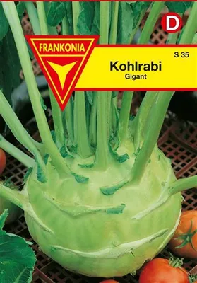 Produktbild von Kohlrabi Gigant