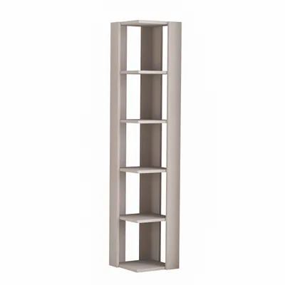 A tall, narrow corner bookshelf with five shelves.