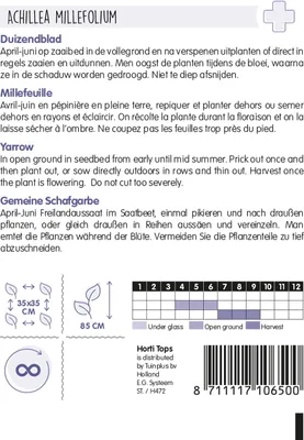Produktbild von Gemeine Schafgarbe | Blumensamen von Hortitops