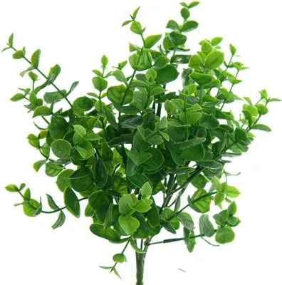 Produktbild von GASPER Eukalyptus Grün 30 cm - Kunstpflanzen