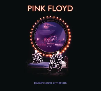 Obrázek produktu pro Pink Floyd: Delicate Sound Of Thunder: Live