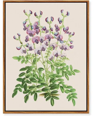 Produktbild von Leinwandbild mit Holzrahmen Botanisch Lila 30x40 cm Wanddeko Kräuterbotanik Swainsona Lessertiaefolia
