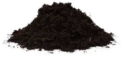 Zdjęcie produktu dla Floragard Organic Soil Versatile 1x50 litrów - Uniwersalna gleba dla wszystkich roślin domowych i zewnętrznych - bez torfu i wegańska