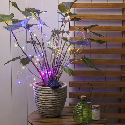 Produktbild von LED Solar Draht Lichtbündel - Pflanzenbeleuchtung - 60 bunte LED - L: 80cm - für Außen - silber