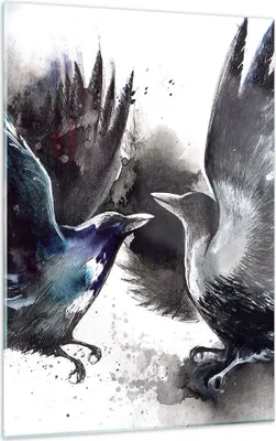 Produktbild von Bilder auf glas - Einteilig - Vogel Natur Feder - 50x70cm - Glasbilder - Wandbilder - Bilder - zum Aufhängen bereit - Wanddekoration aus Glas - Glas Bilder - Wandbild auf Glas - GPA50x70-3761