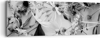 Produktbild von Bild auf Leinwand - Leinwandbild - Einteilig - Blumen Schwarzweiß Fotografie - 90x30cm - Wand Bild - Wanddeko - Wandbilder - Leinwanddruck - Bilder - Wanddekoration - Leinwand bilder - AB90x30-4740