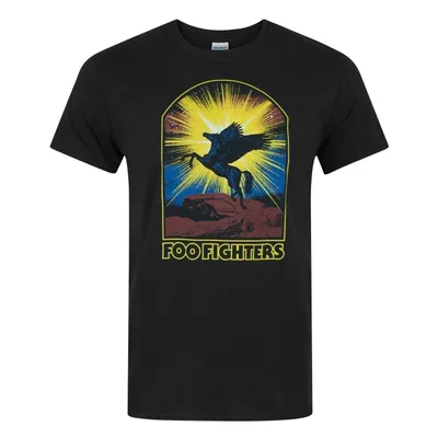 Image de Foo Fighters - T-shirt pour homme NS5488 (M) (Noir)