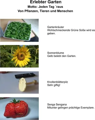 Produktbild von Erlebter Garten