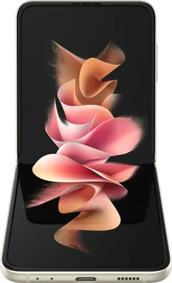 Image de Samsung F711B Galaxy Z Flip3 5G 256 GB (Phantom Cream)