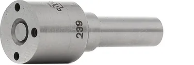 Image de Injecteur BOSCH H 105 017 283