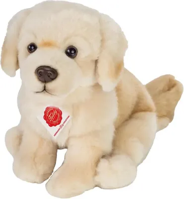 Produktbild von Teddy-Hermann Teddy Hermann Golden Retriever sitzend, 25 cm