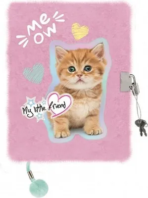 Produktbild von TAGEBUCH EINER PLÜSCHKATZE Bambino
